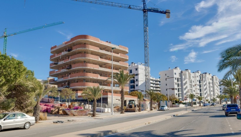 New Construction - Apartment / flat - Arenales del Sol - Arenales